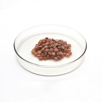 I-Antioxidant TDQ